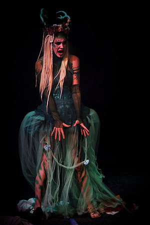 A Midsummer Nights Dream