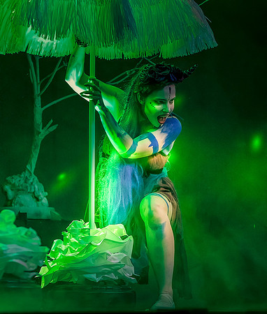 A Midsummer Nights Dream