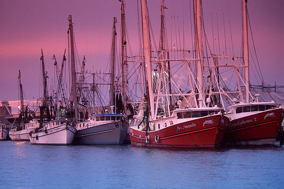 Shrimpboats