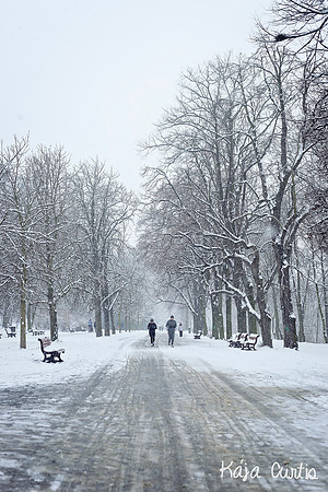 Snow in Stromova Park