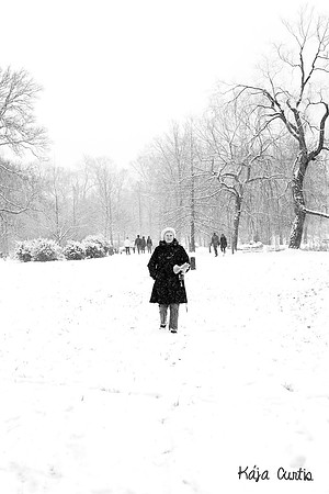snowy walk