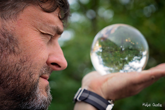 Looking Thru the Looking Glass