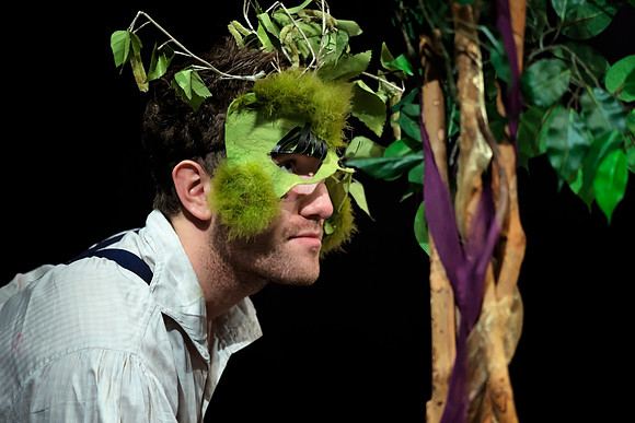 A Midsummer Night's Dream