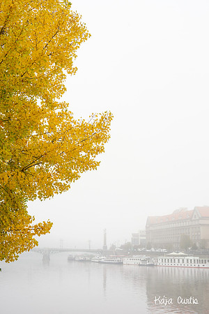 Foggy Prague