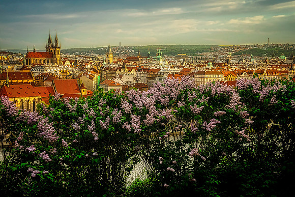 A spring view of Prague