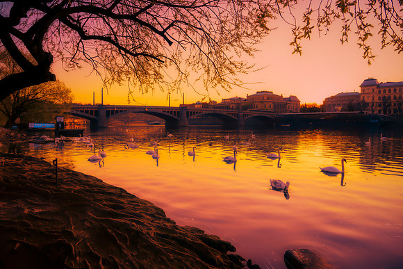 Along the Vltava River
