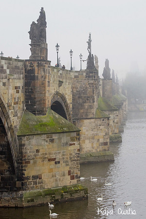 Foggy Prague