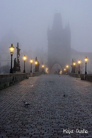 Foggy Prague